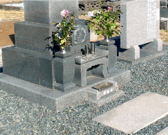 お墓だけでなく区画内の除草も行います。